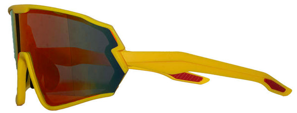 Extreme Sports Shades/ Free Zipper Case